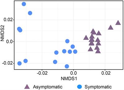 Phytophthora Root Rot Modifies the Composition of the Avocado Rhizosphere Microbiome and Increases the Abundance of Opportunistic Fungal Pathogens